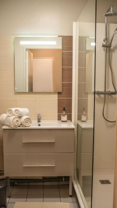 Logement Centre Ville De Reims - Commerces - Wifi 외부 사진